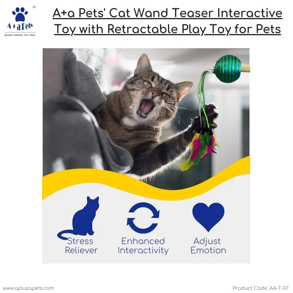 A a Pets' Cat Wand Teaser Interactive Toy with Round Feather Play - Green