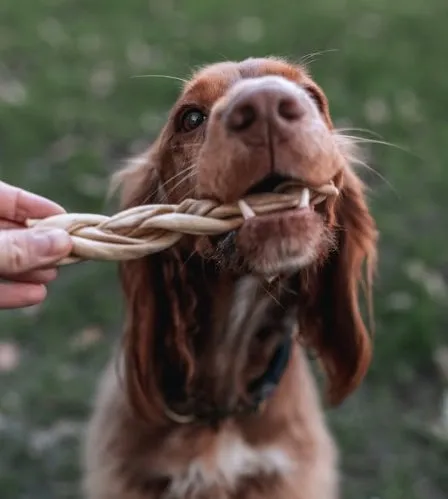 Anco Goat Braids medium Dog Chew