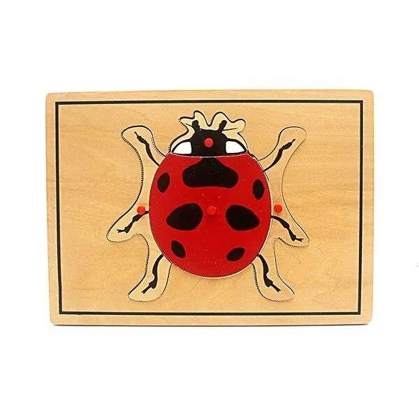Baby Toy Kids Science Toys Animals Puzzle for Children Wood for Early Childhood Education Preschool Training Learning