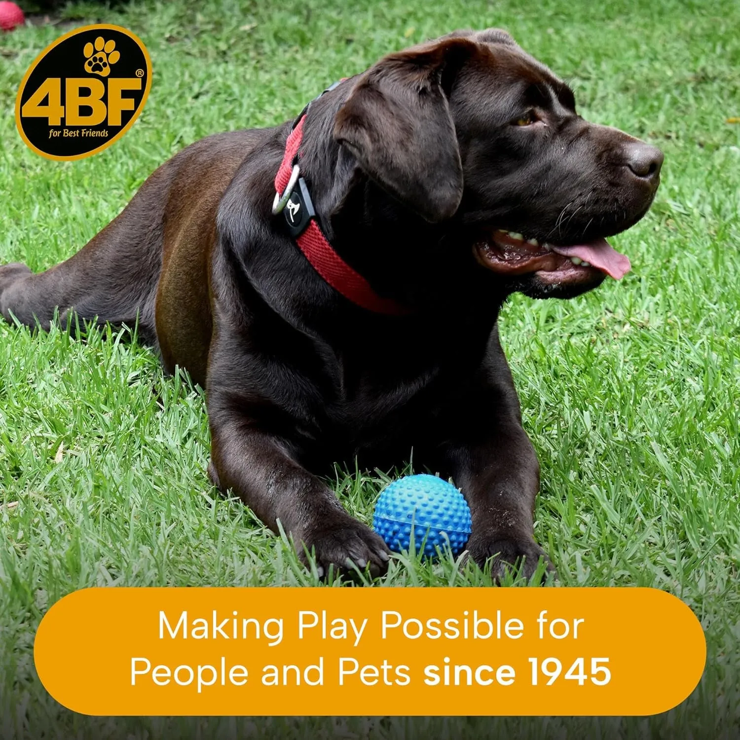 Bumpy Rubber Ball Dog Toy