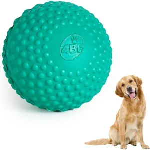 Bumpy Rubber Ball Dog Toy