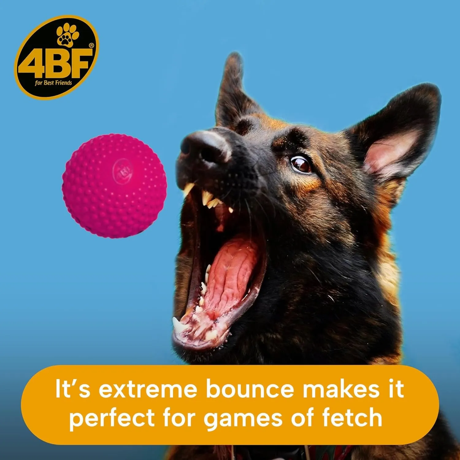 Bumpy Rubber Ball Dog Toy