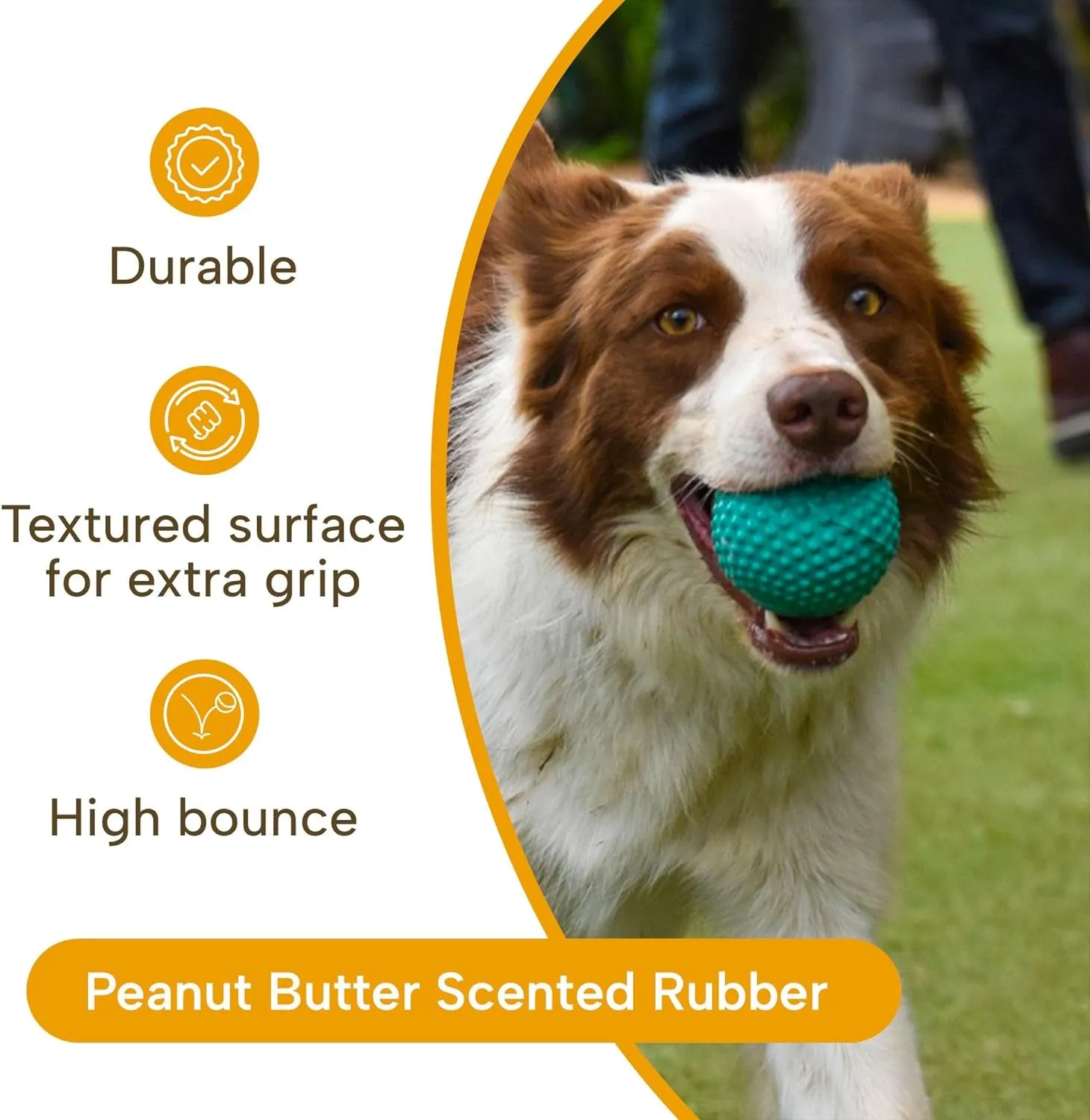 Bumpy Rubber Ball Dog Toy