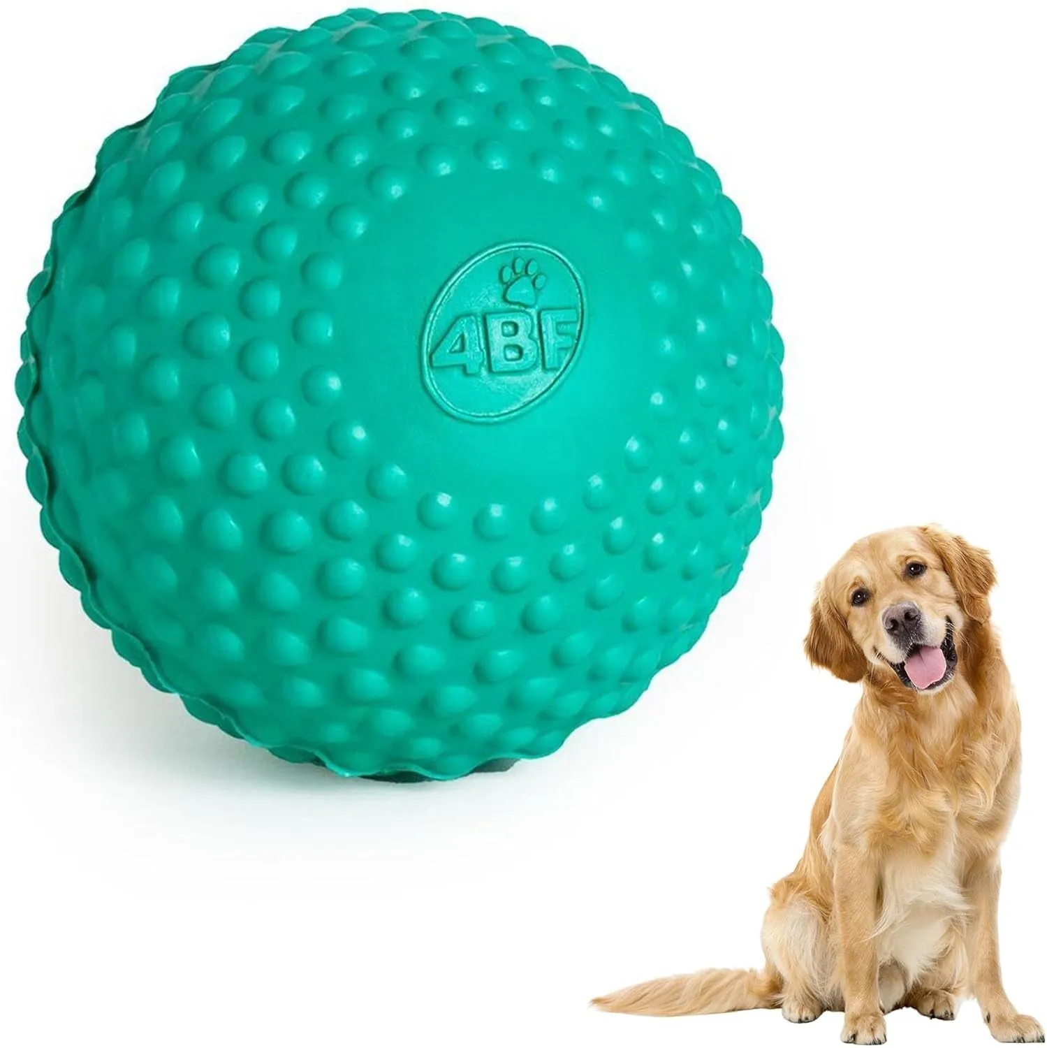 Bumpy Rubber Ball Dog Toy