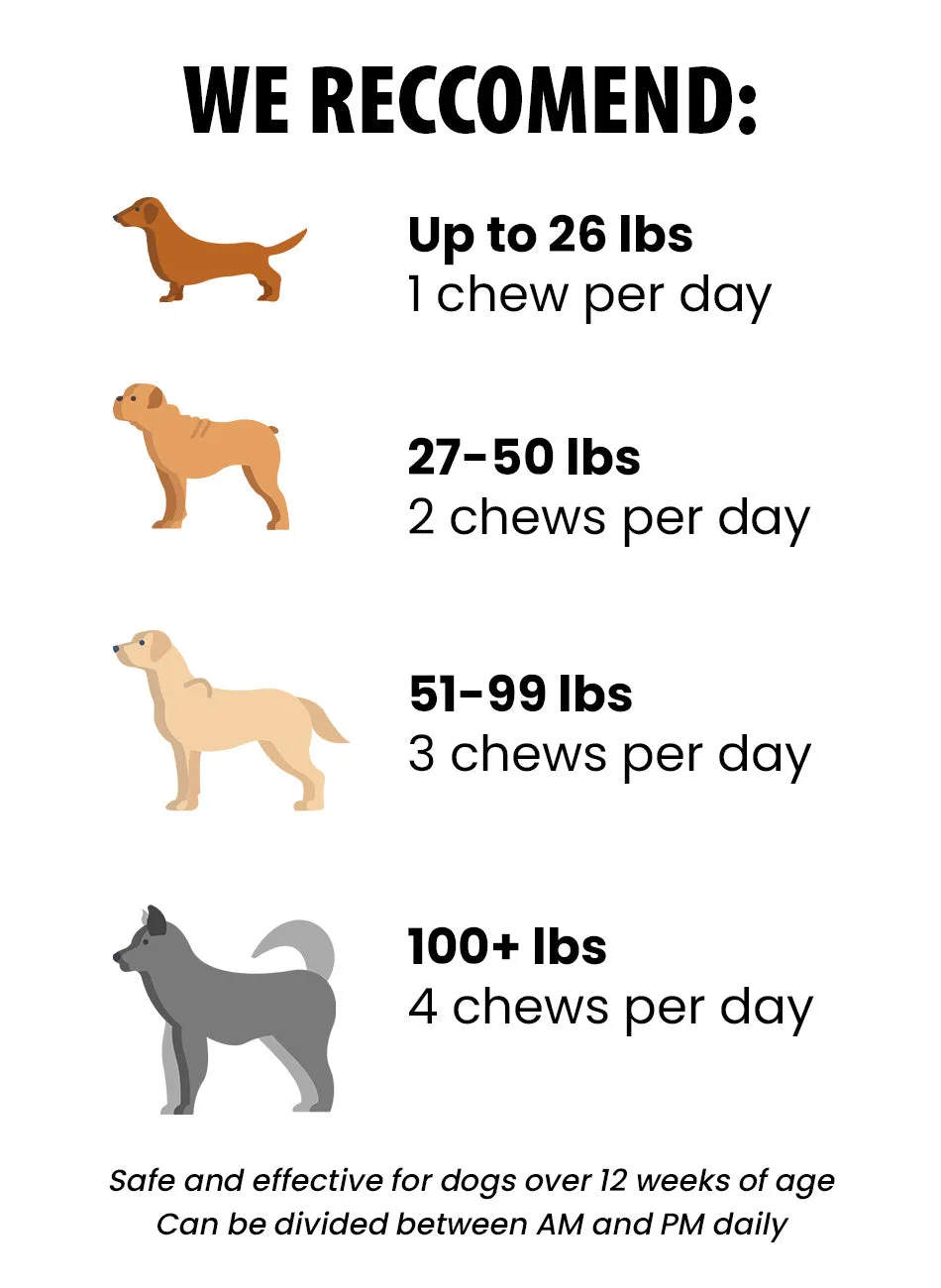 Calming Supplement Chew Bundle