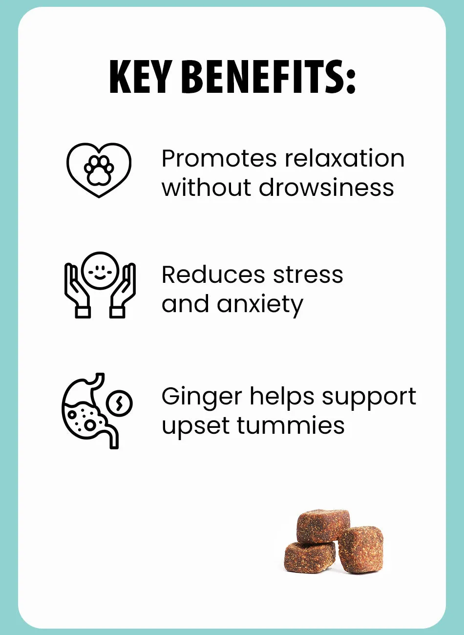 Calming Supplement Chew Bundle