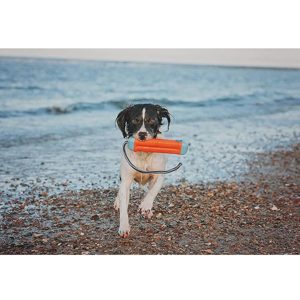 Chuckit! Amphibious Bumper Fetch & Float Dog Toy, Medium (Color Varies)