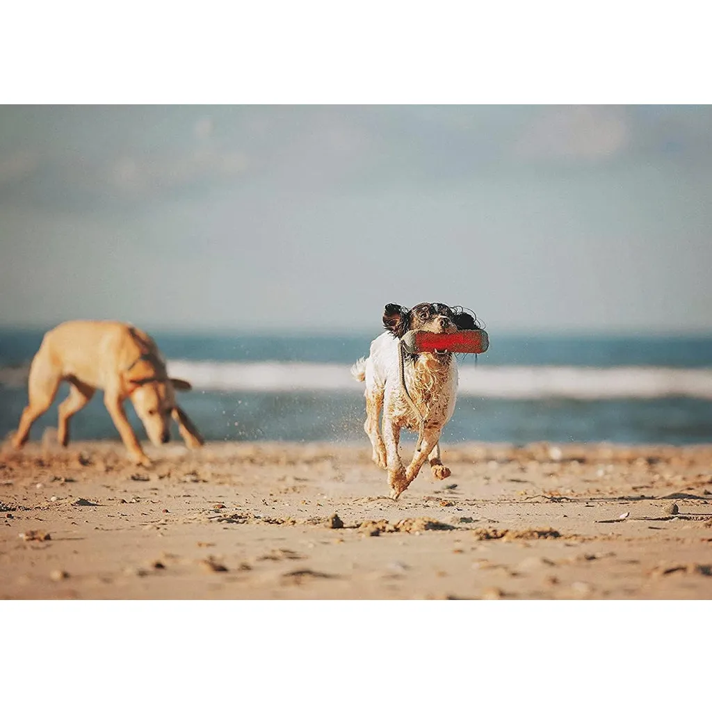 Chuckit! Amphibious Bumper Fetch & Float Dog Toy, Medium (Color Varies)