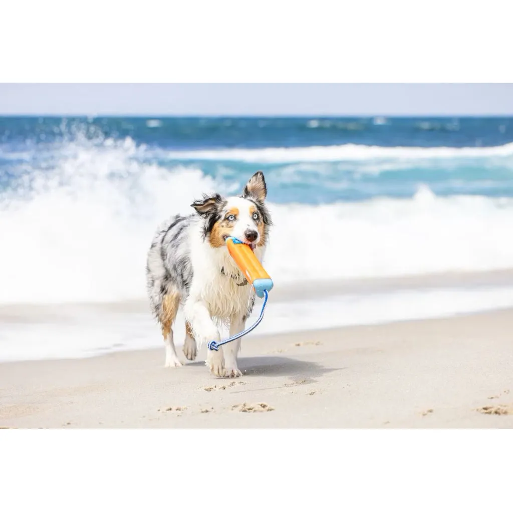 Chuckit! Amphibious Bumper Fetch & Float Dog Toy, Medium (Color Varies)