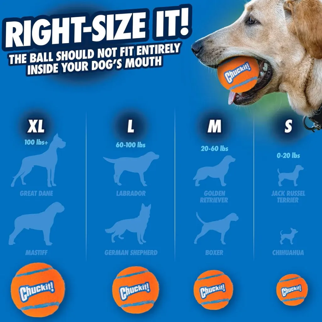 Chuckit! Ultra Ball Toy For Dogs - Small (2 pack)
