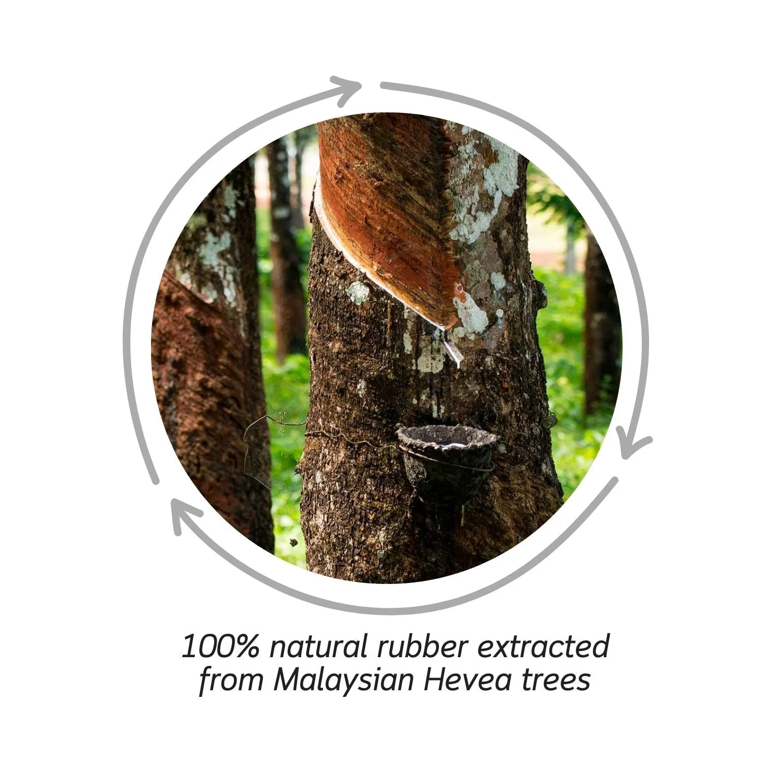 Coco The Coconut Natural Rubber Teether