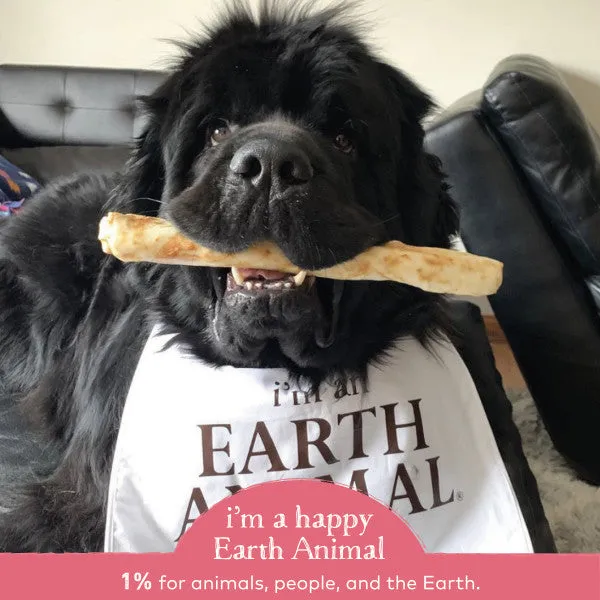 Earth Animal No-Hide Cage-Free Salmon Natural Rawhide Alternative Dog Chews, 7-in