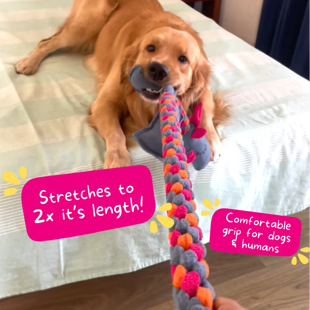 For The Love Of Dog Mr Tugasaur Toy for Dogs (Blue/Green/Grey)
