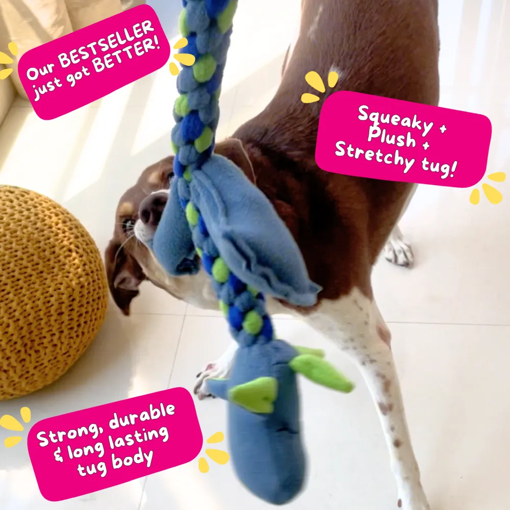 For The Love Of Dog Mr Tugasaur Toy for Dogs (Blue/Green/Grey)