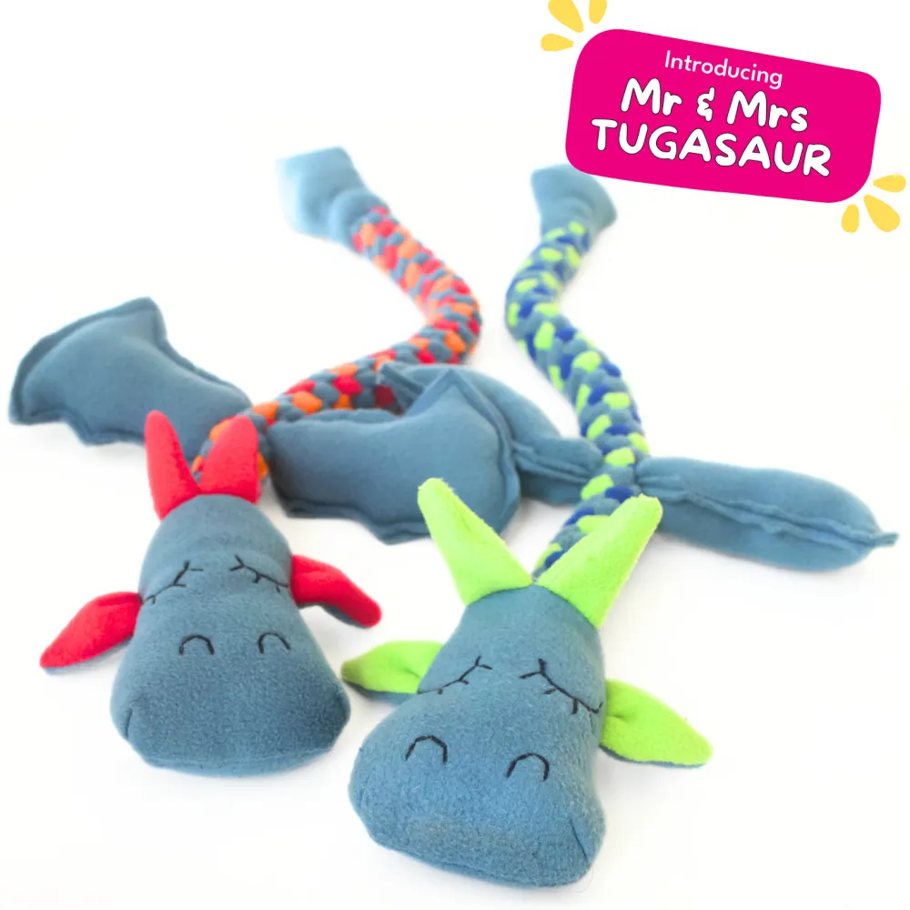 For The Love Of Dog Mr Tugasaur Toy for Dogs (Blue/Green/Grey)