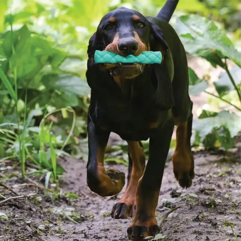 Goofy Tails Squeaky Stick Dog Toys | Natural Rubber Toys for Dogs