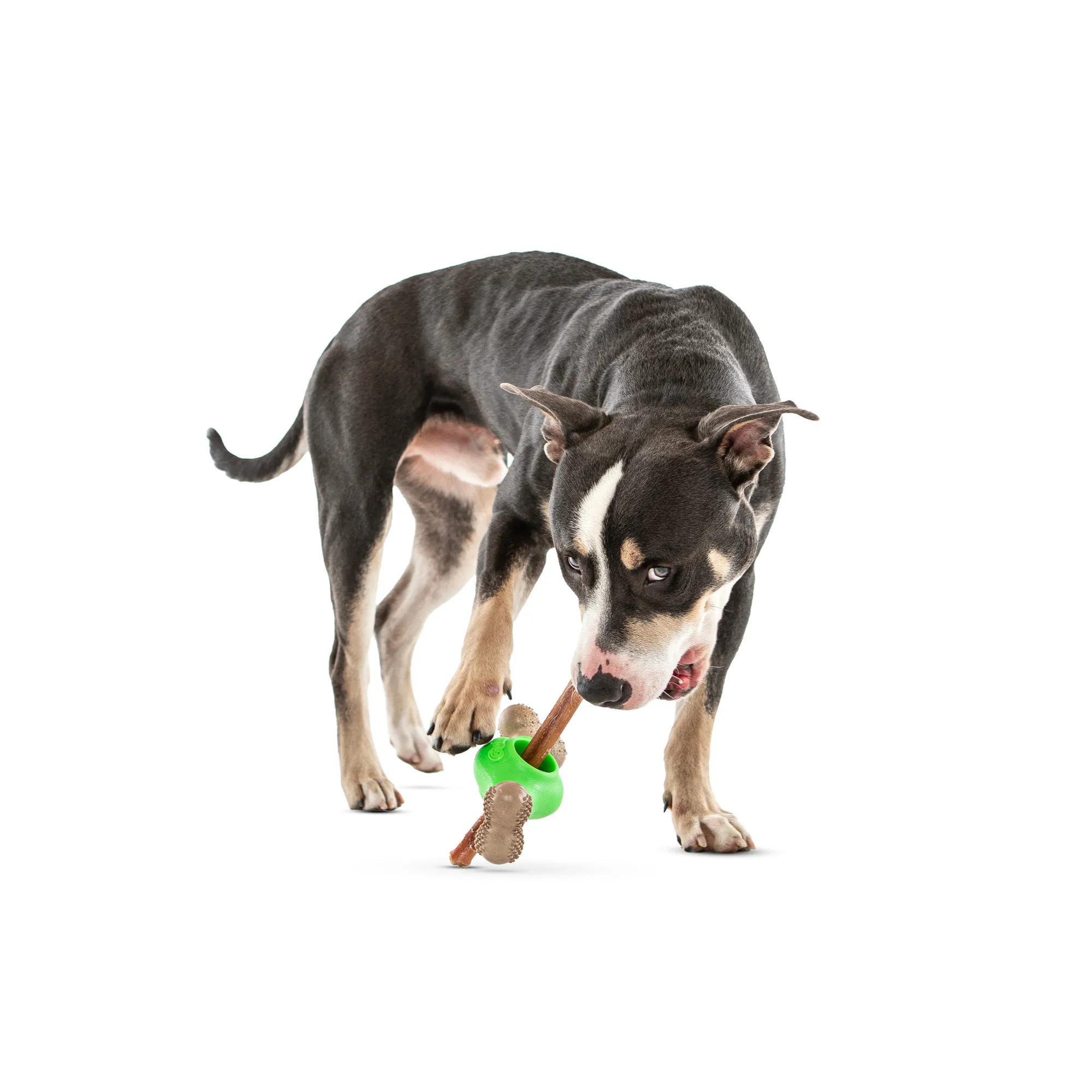 GURU Adjust-A-Chew Dog Toy Medium