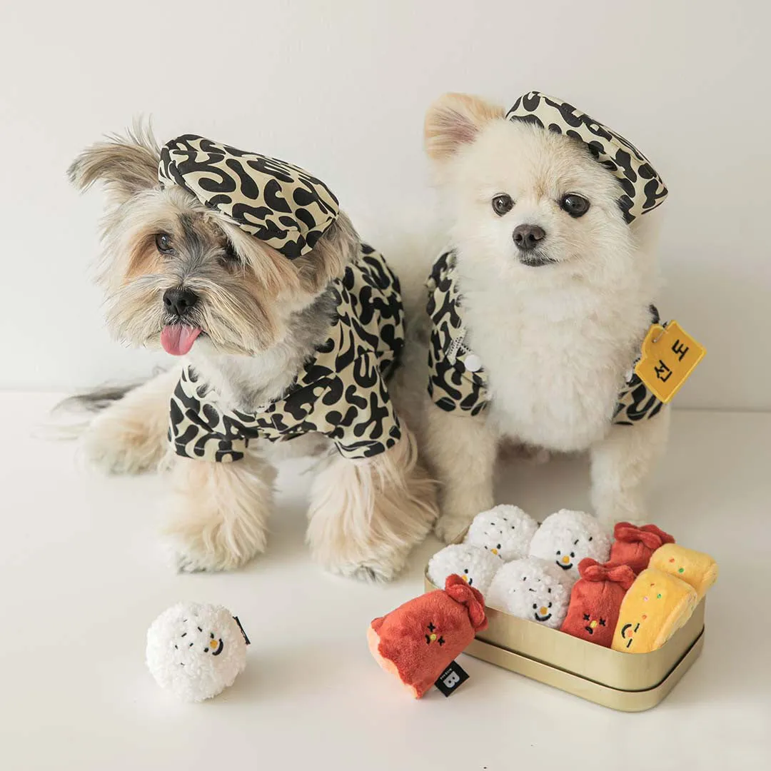 Lunch Box Nosework Dog Toy Set