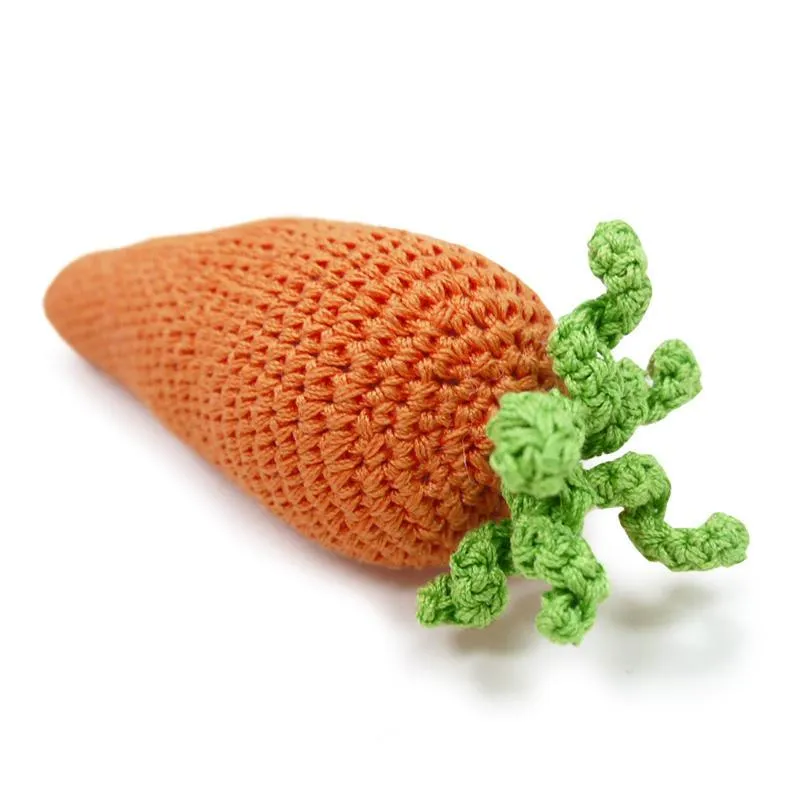 Pawer Squeaky Carrot Dog Toy
