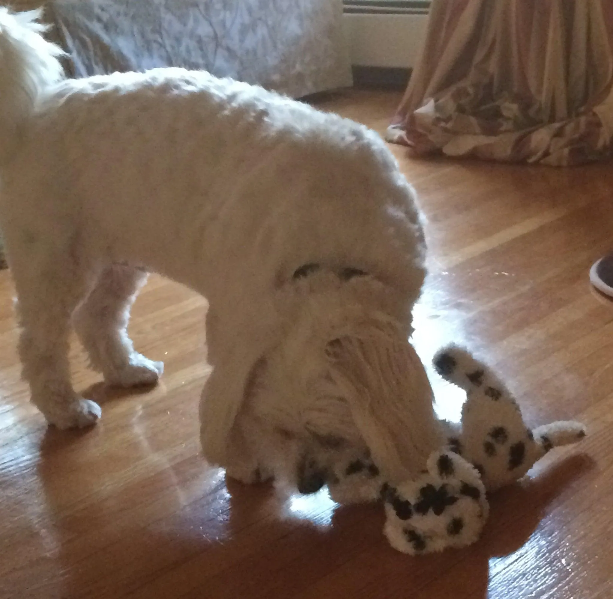 Small Stuffed SQUEAKY Dog & Puppy Toys / 10-30 lbs.