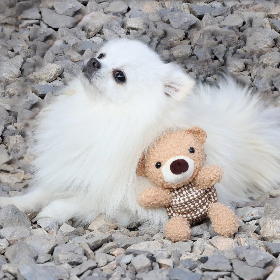 Squeaky Rope Buddies